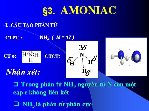 Hoa 8: Amoniac