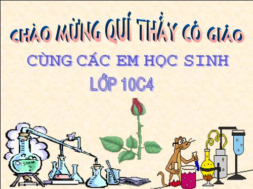 Bài 11. Bài luyện tập 2