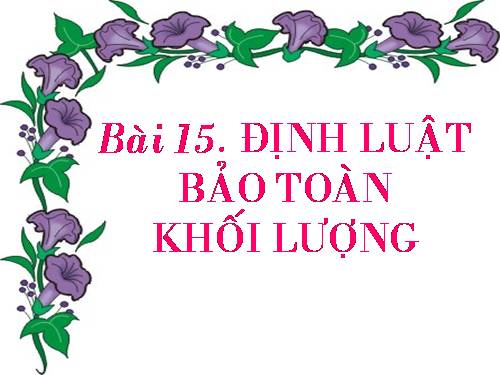 Bài 15. Định luật bảo toàn khối lượng