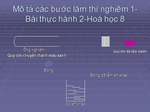 Mô phỏng thí nghiệm sự lan tỏa của chất