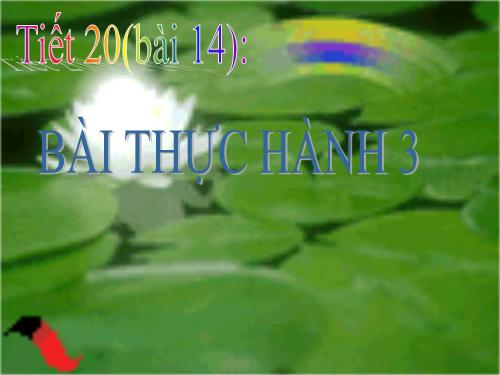 TIẾT 20(BÀI 14): BÀI THỰC HÀNH