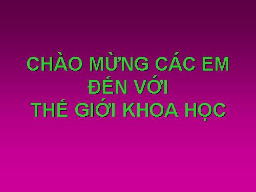 Bài 16. Phương trình hoá học