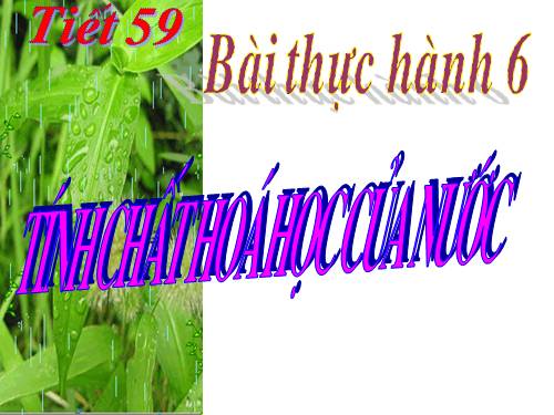 Bài 39. Bài thực hành 6