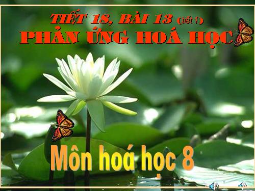 Bài 13. Phản ứng hoá học