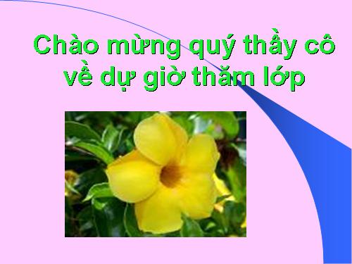 Ôn tập