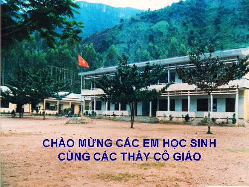 Bài 13. Phản ứng hoá học