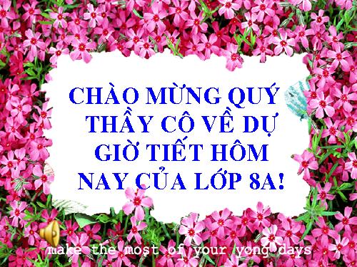 Bài 13. Phản ứng hoá học