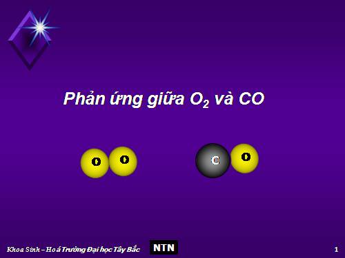 Thí nghiệm 28-Phản ứng giữa O2 và CO