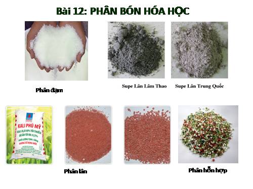 DẠY HỌC HỢP ĐỒNG BÀI PHÂN BÓN HÓA HỌC LỚP 11