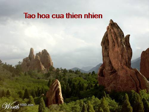 TẠO HOÁ KỲ LẠ CỦA TU NHIÊN