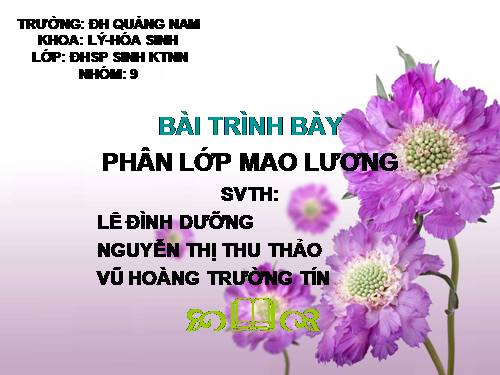 Bài 1.Phân lớp mao lương