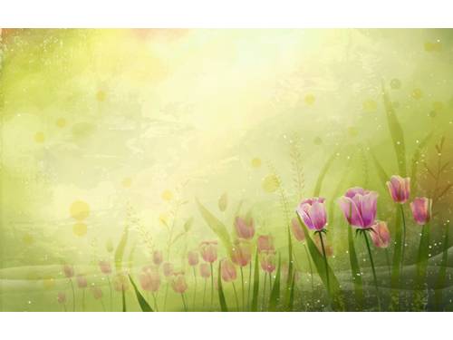 Vector Art Flowers Wallpapers