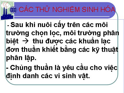 Thử nghiệm sinh hoá