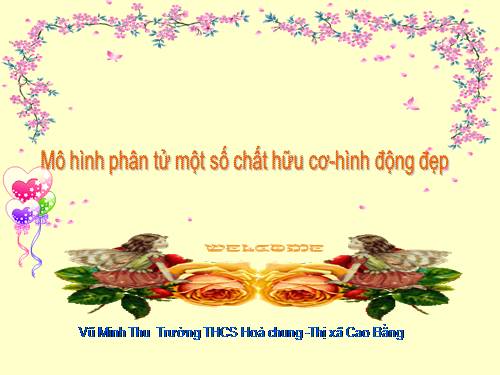 mô hình - hình động hóa học