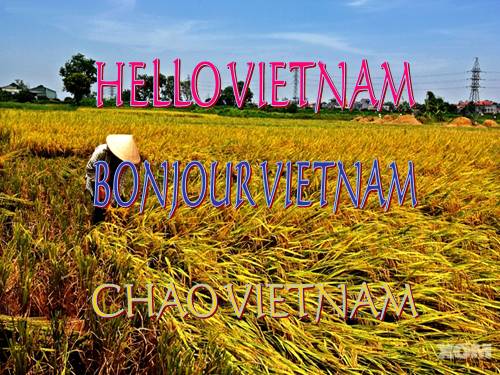 Chào việt nam