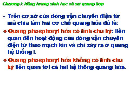 Quang hợp