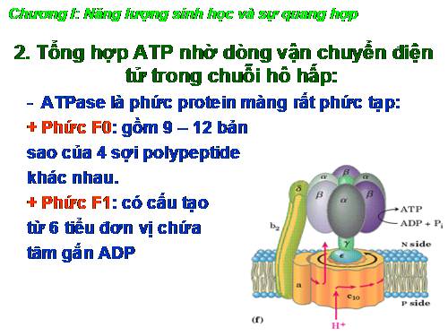 Quang hop