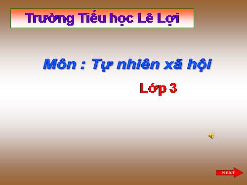 Bài Lá cây TNXH lớp 3