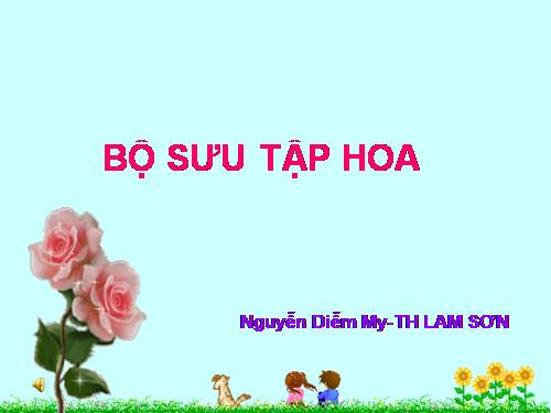 sưu tầm về hoa