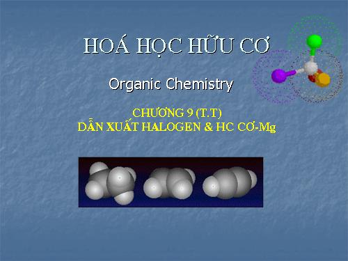 hoa huu co_dan xuat halogen