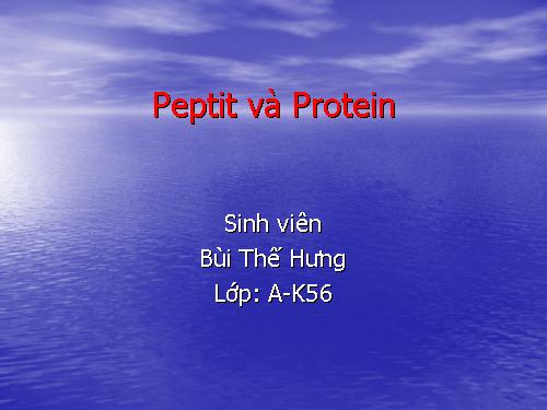 peptit và protein