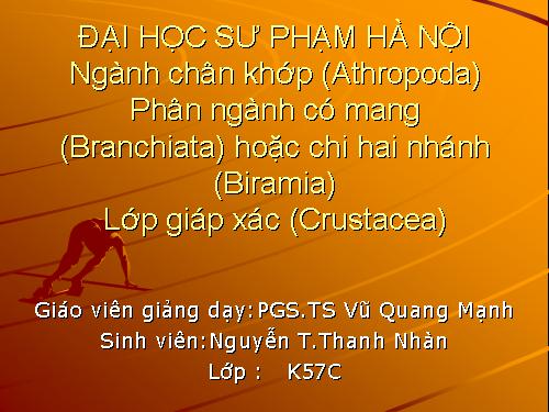 Ngành chân khớp_lớp giáp xác