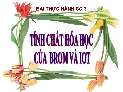 Thực hành Brom - Iot