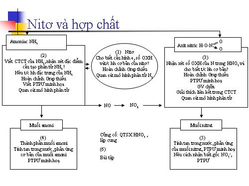 Nito và hợp chất