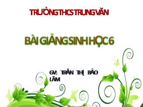 Bài 12. Biến dạng của rễ