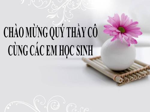 Bài 10. Cấu tạo miền hút của rễ