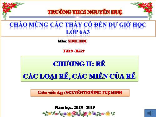 các loại rễ