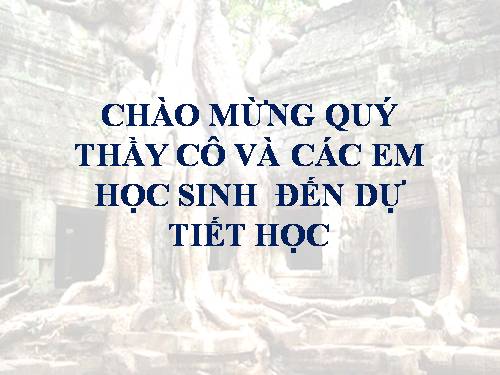 Bài 9. Các loại rễ, các miền của rễ