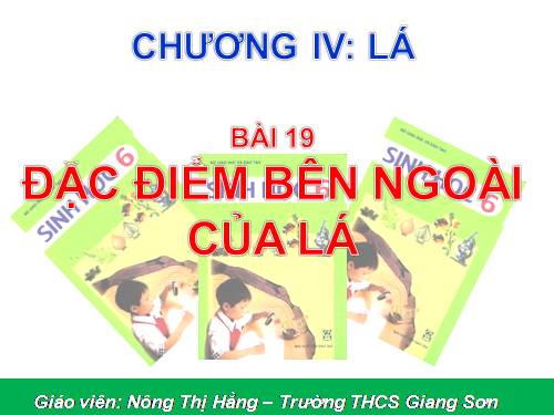 Bài 19. Đặc điểm bên ngoài của lá