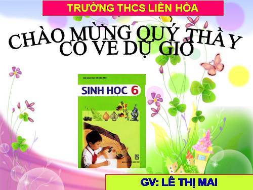 Bài 13. Cấu tạo ngoài của thân