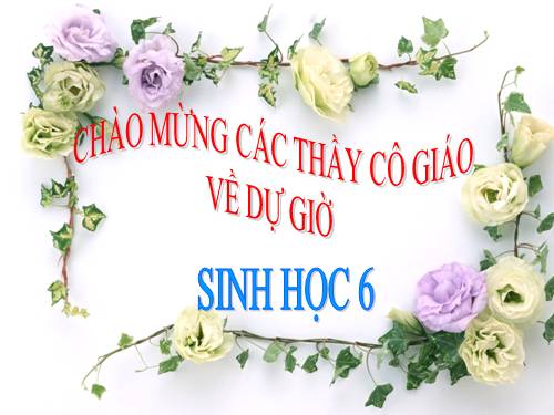 Bài 36. Tổng kết về cây có hoa
