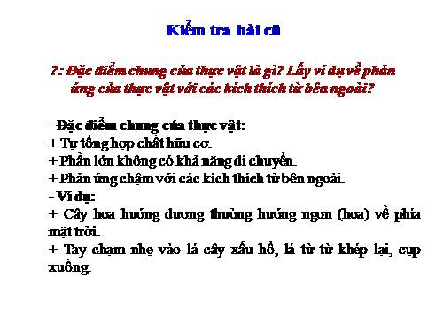 Bài 4. Có phải tất cả thực vật đều có hoa?