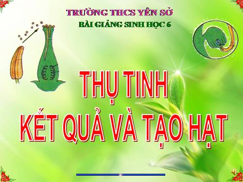 Bài 31. Thụ tinh, kết quả và tạo hạt