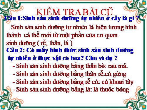 Bài 27. Sinh sản sinh dưỡng do người