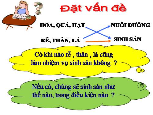 Bài 26. Sinh sản sinh dưỡng tự nhiên