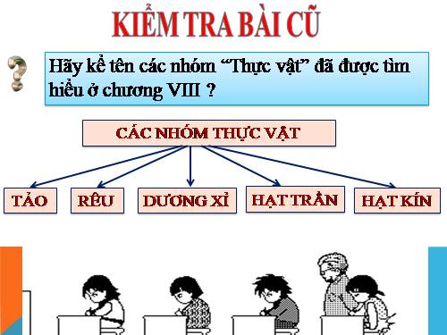 Bài 43. Khái niệm sơ lược về phân loại thực vật