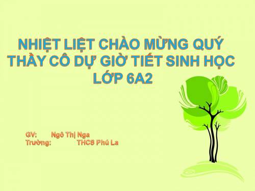 Bài 12. Biến dạng của rễ