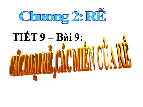 Bài 9. Các loại rễ, các miền của rễ