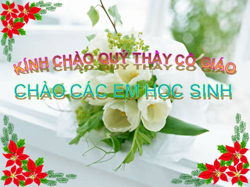 Bài 7. Cấu tạo tế bào thực vật