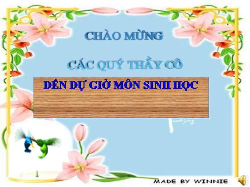 Bài 18. Biến dạng của thân