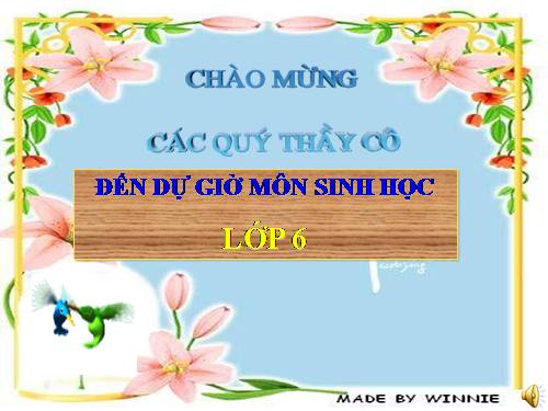 Bài 12. Biến dạng của rễ