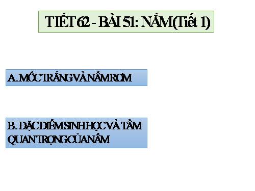 Bài 51: Nấm