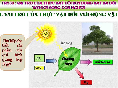 Bài 48. Vai trò của thực vật đối với động vật và đối với đời sống con người