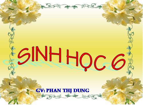 Bài 26. Sinh sản sinh dưỡng tự nhiên