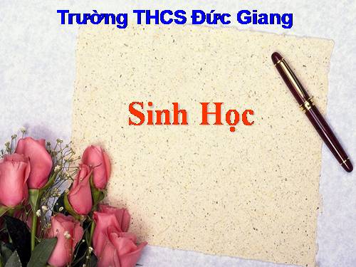 Bài 50: Vi khuẩn (tiếp theo)