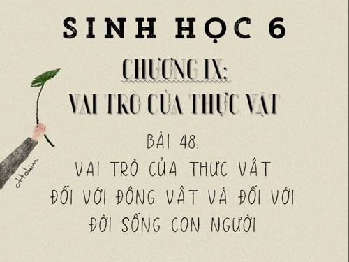 SINH HỌC 6 - CHƯƠNG IX: VAI TRÒ CỦA THỰC VẬT - BÀI 48: VAI TRÒ CỦA THỰC VẬT ĐỐI VỚI ĐỜI SỐNG CON NGƯỜI